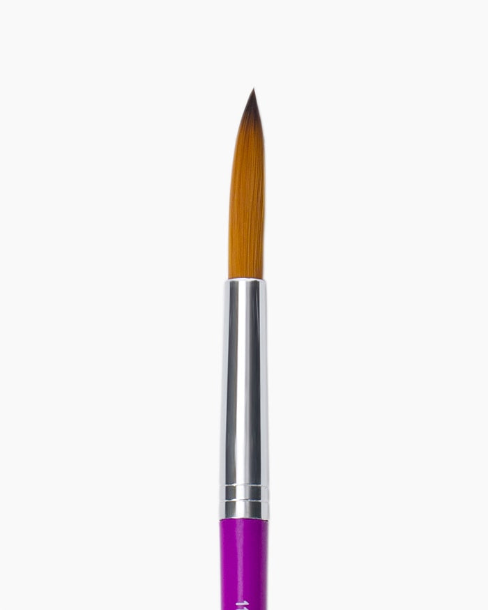 Camel Champ Round Brush No. 11 for acrylic, watercolour, and oil painting — premium synthetic round brush