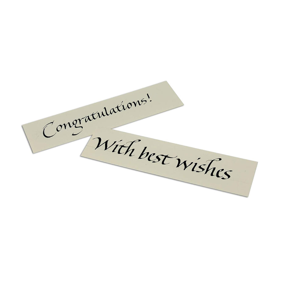 Manuscript Beginner's Calligraphy Set