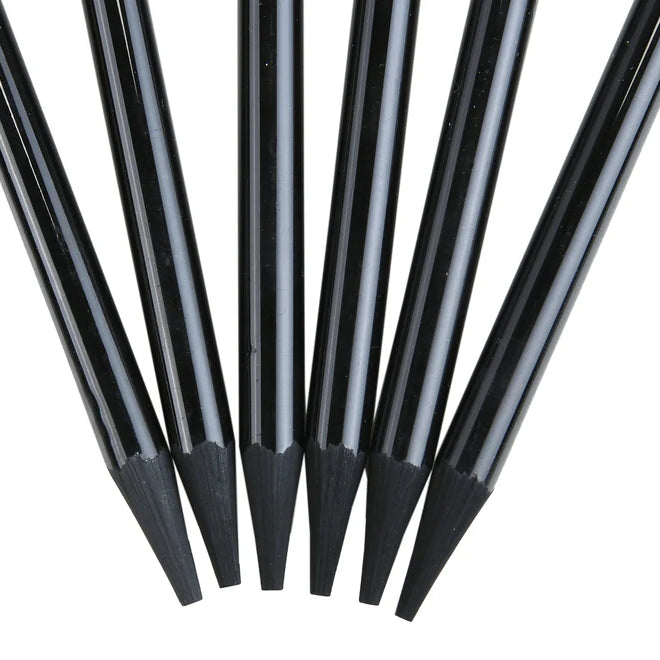 BRUSTRO WOODLESS CHARCOAL PENCILS-SET OF-6  