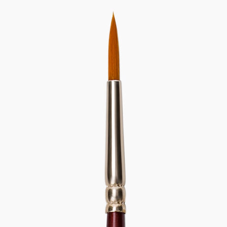 Paintbrush with a red handle and silver ferrule 