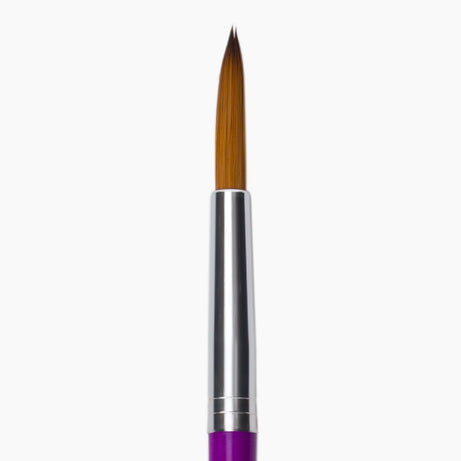 Close-up of Camel Champ Round Brush No. 10 fine pointed tip for precise lines and detailed work