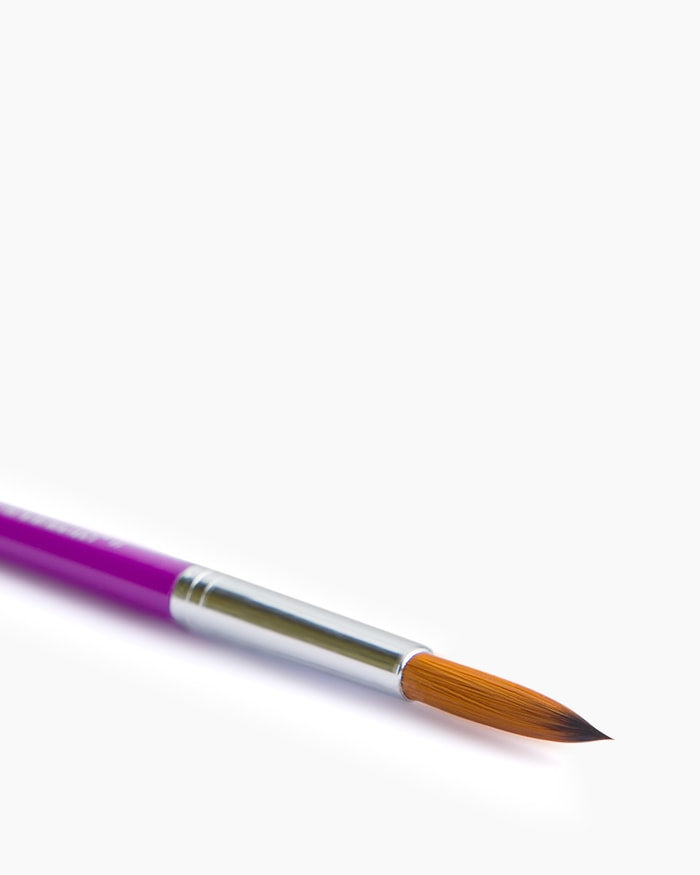 Close-up view of Camel Champ Round Brush No. 11 pointed tip for fine details and precise strokes