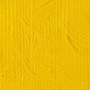 Winsor & Newton Winton Oil Colour