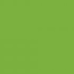 Winsor & Newton Winton Oil Colour