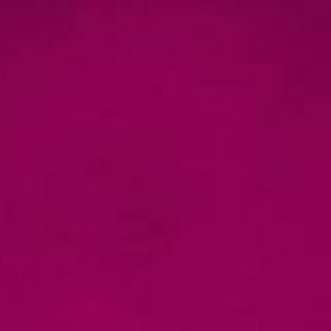 Winsor & Newton Winton Oil Colour