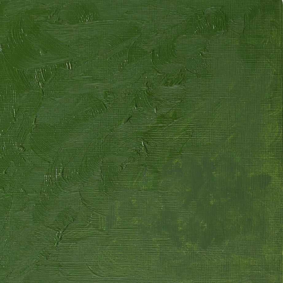 Winsor & Newton Winton Oil Colour