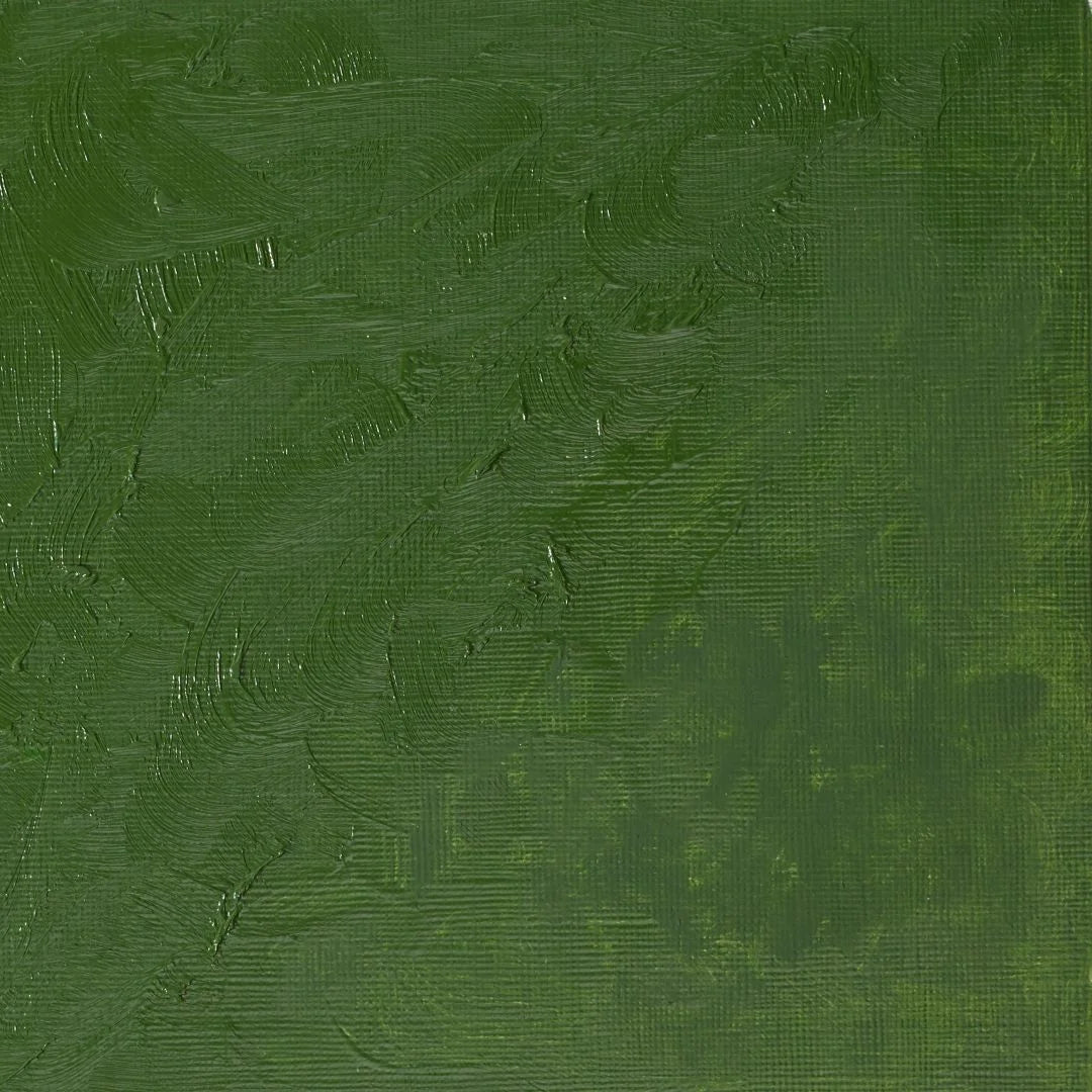 Winsor & Newton Winton Oil Colour